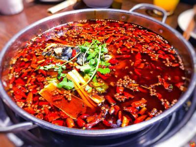 美蛙魚頭火鍋培訓那個靠譜？火鍋培訓哪家好