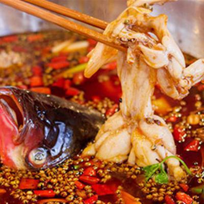重慶美蛙魚頭火鍋技術(shù)培訓(xùn)多少錢？